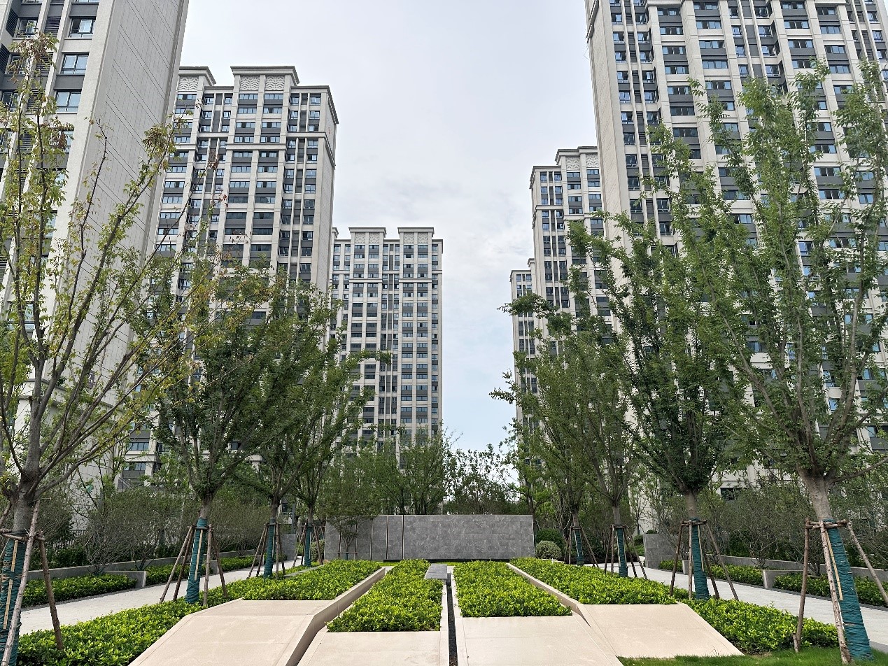 瞧！！！上半年江北新区基本建成的包管房 颜值一个比一个高 