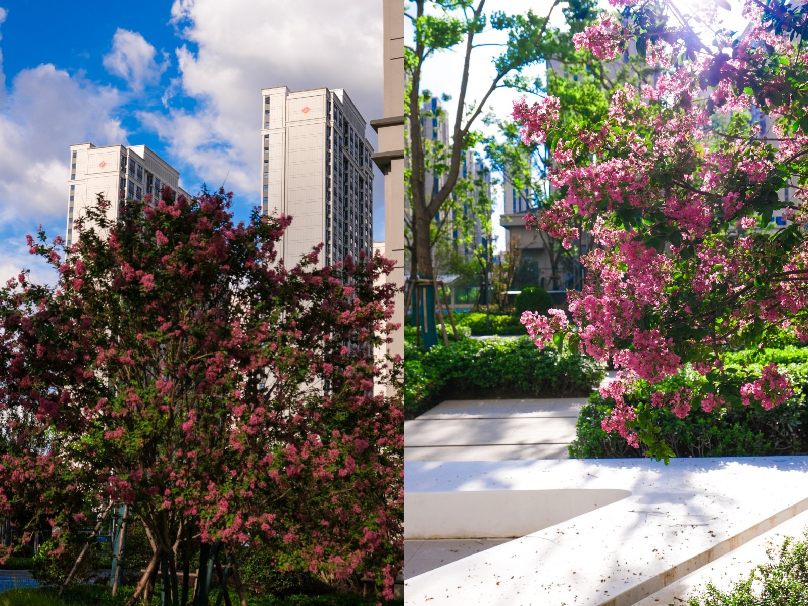 台风过境，，，这一大波民生项目be like（图说包管房）